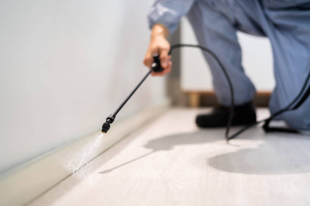 Professional exterminator conducting IPM assessment in Mansfield